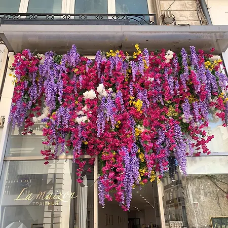 Close To Congress Palace, Croisette, Beaches *
