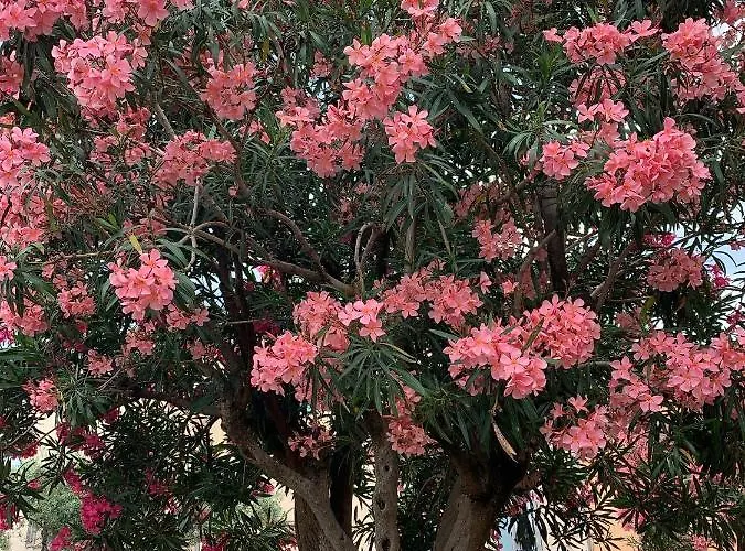 Apartament Close To Congress Palace, Croisette, Beaches