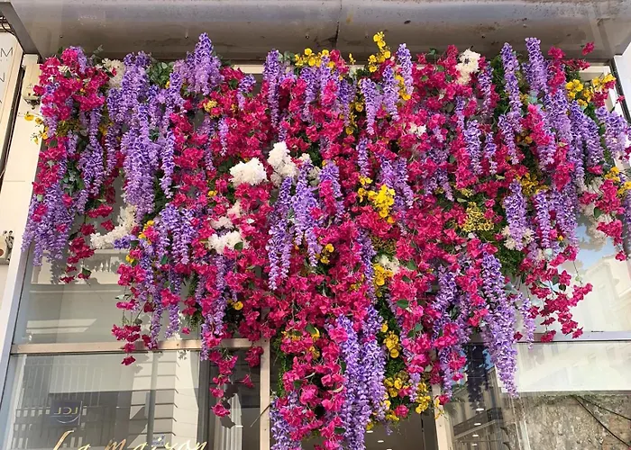 Close To Congress Palace, Croisette, Beaches *