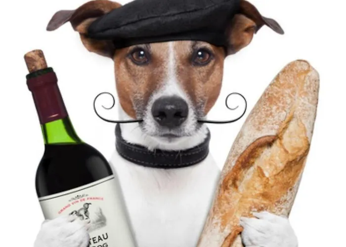 Apartament Close To Congress Palace, Croisette, Beaches